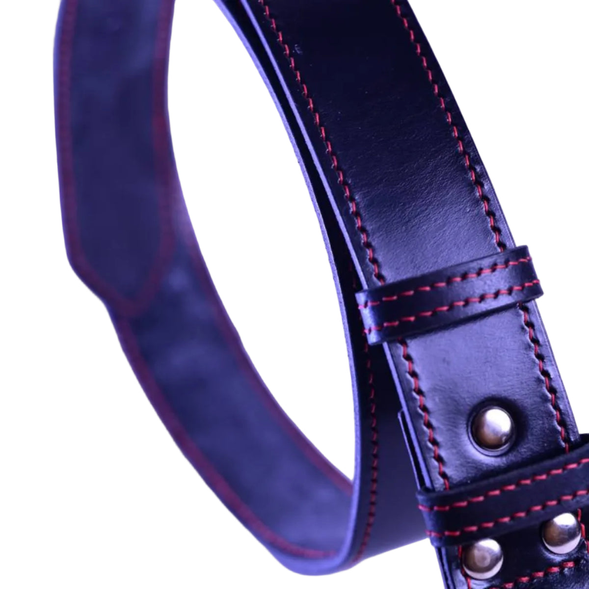Pasek English Bridle